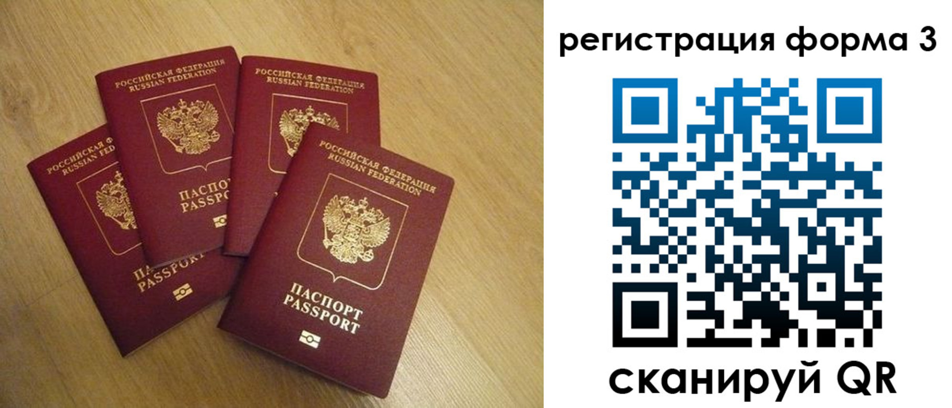 прописка для школы в Волгоградской области